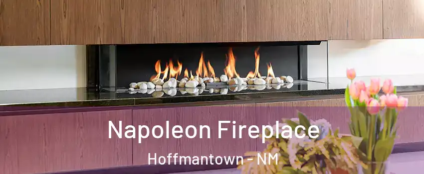Napoleon Fireplace Hoffmantown - NM