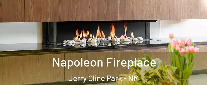 Napoleon Fireplace Jerry Cline Park - NM