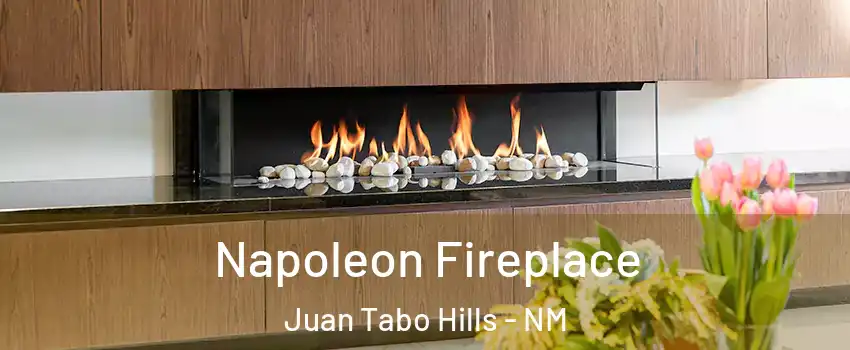 Napoleon Fireplace Juan Tabo Hills - NM