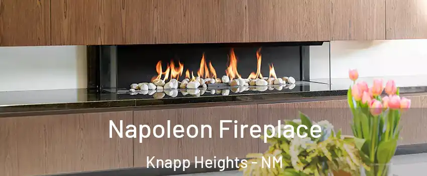 Napoleon Fireplace Knapp Heights - NM