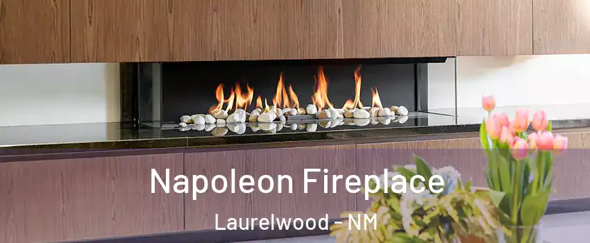 Napoleon Fireplace Laurelwood - NM