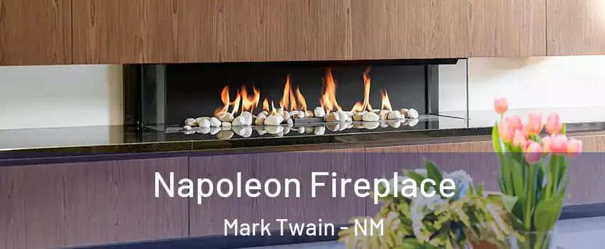 Napoleon Fireplace Mark Twain - NM