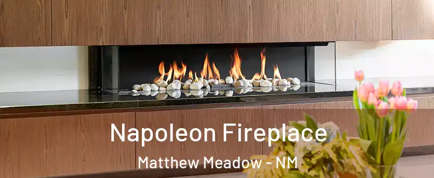 Napoleon Fireplace Matthew Meadow - NM