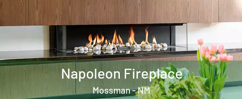 Napoleon Fireplace Mossman - NM
