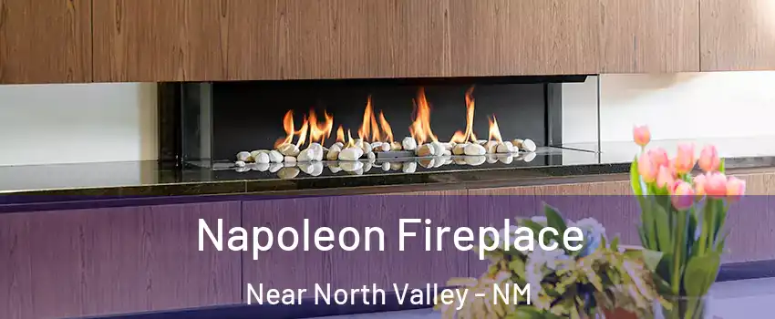 Napoleon Fireplace Near North Valley - NM