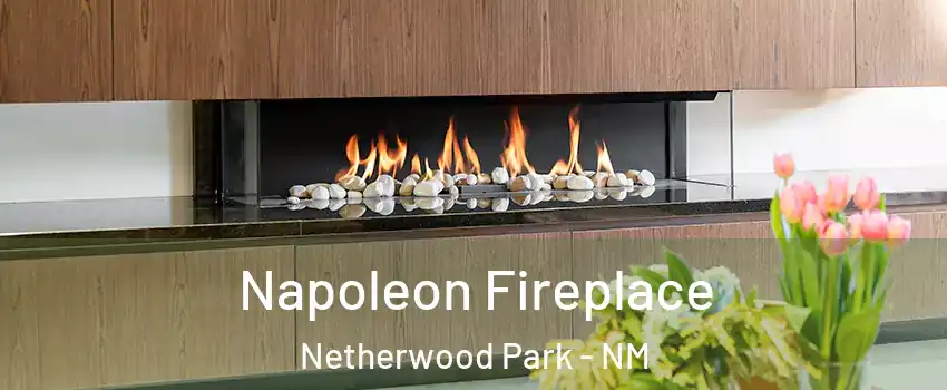 Napoleon Fireplace Netherwood Park - NM
