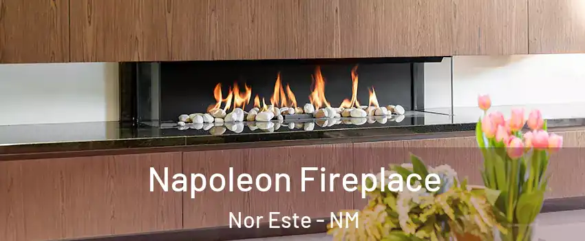 Napoleon Fireplace Nor Este - NM