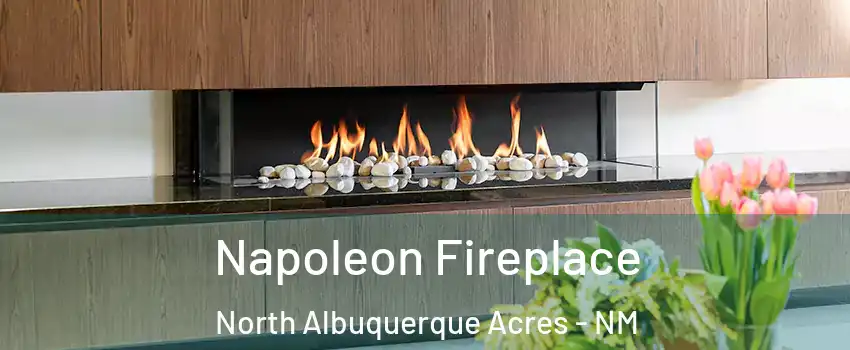 Napoleon Fireplace North Albuquerque Acres - NM