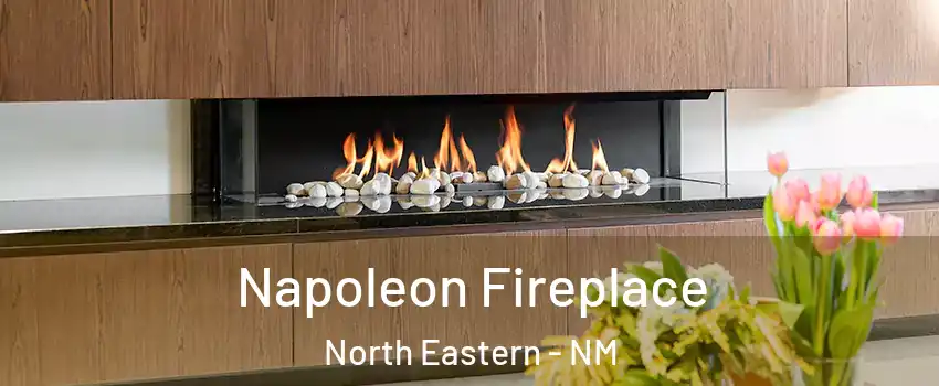 Napoleon Fireplace North Eastern - NM