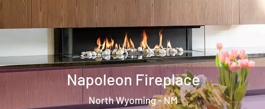 Napoleon Fireplace North Wyoming - NM