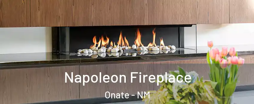 Napoleon Fireplace Onate - NM
