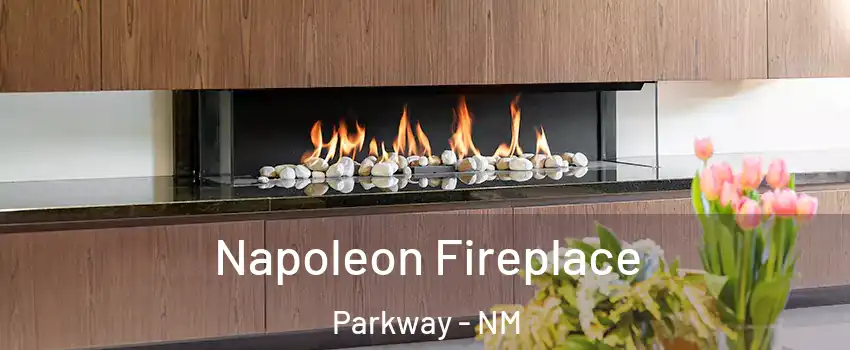 Napoleon Fireplace Parkway - NM