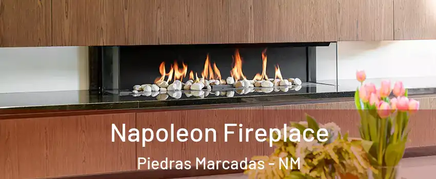 Napoleon Fireplace Piedras Marcadas - NM