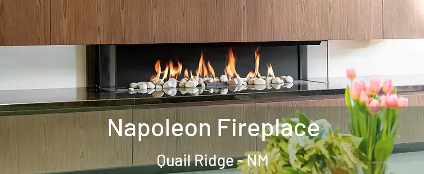 Napoleon Fireplace Quail Ridge - NM