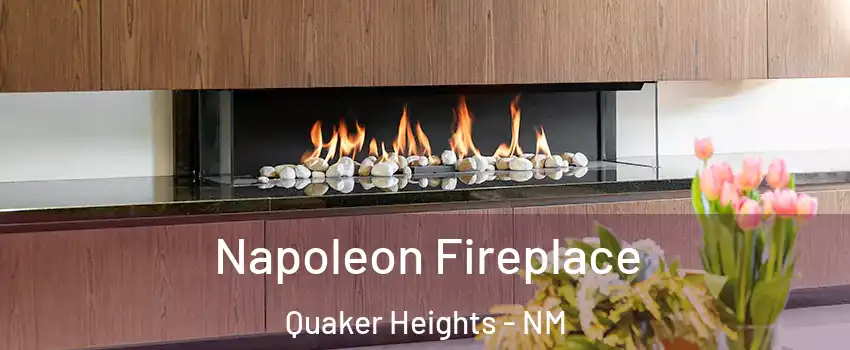 Napoleon Fireplace Quaker Heights - NM