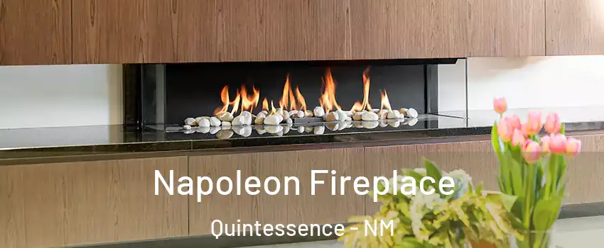 Napoleon Fireplace Quintessence - NM