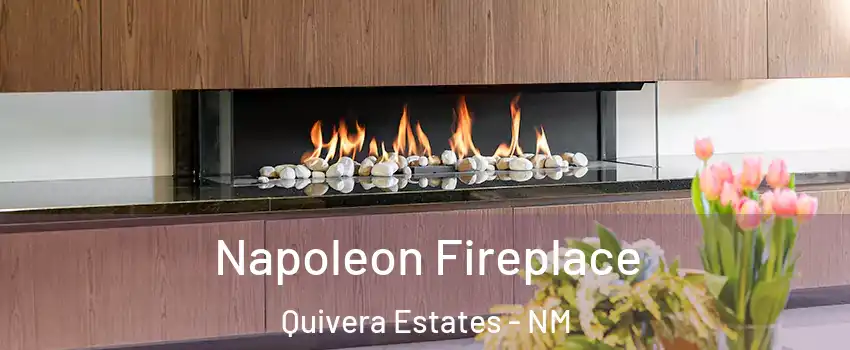 Napoleon Fireplace Quivera Estates - NM
