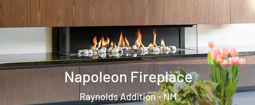 Napoleon Fireplace Raynolds Addition - NM