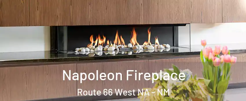 Napoleon Fireplace Route 66 West NA - NM