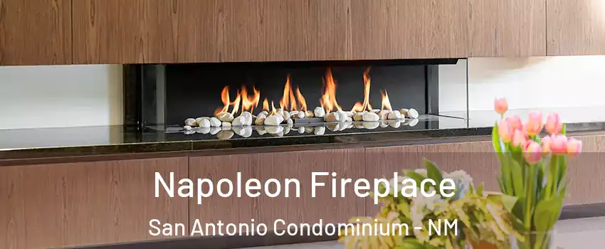 Napoleon Fireplace San Antonio Condominium - NM