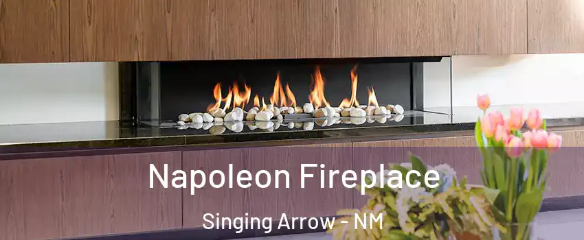 Napoleon Fireplace Singing Arrow - NM