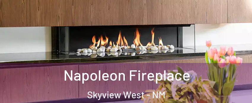 Napoleon Fireplace Skyview West - NM