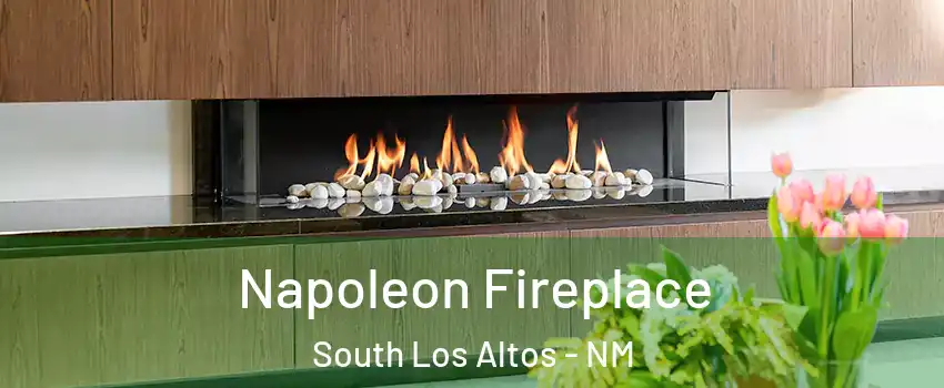 Napoleon Fireplace South Los Altos - NM