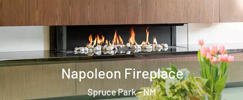 Napoleon Fireplace Spruce Park - NM