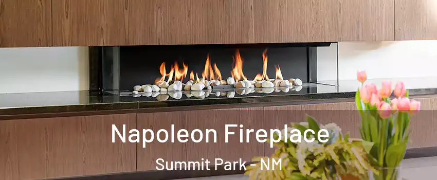 Napoleon Fireplace Summit Park - NM