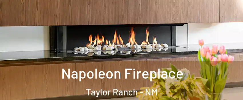 Napoleon Fireplace Taylor Ranch - NM