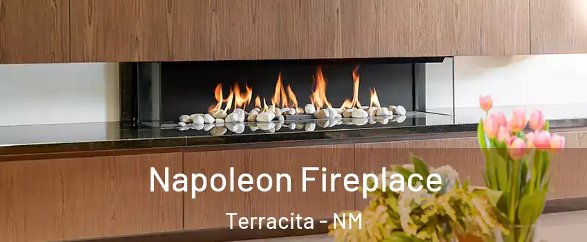 Napoleon Fireplace Terracita - NM