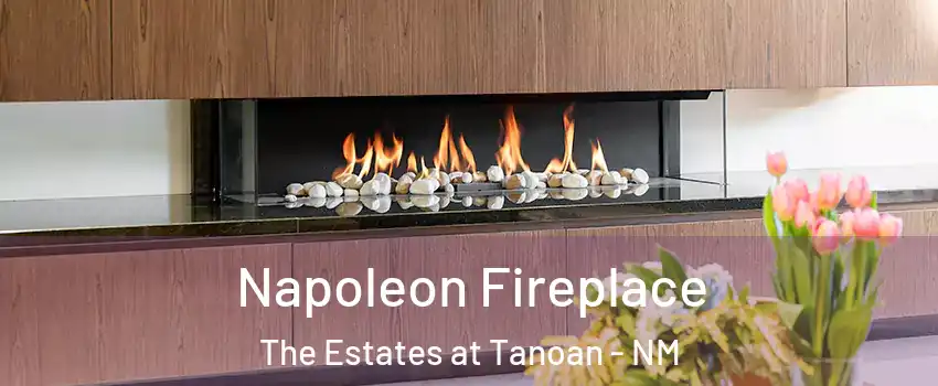 Napoleon Fireplace The Estates at Tanoan - NM