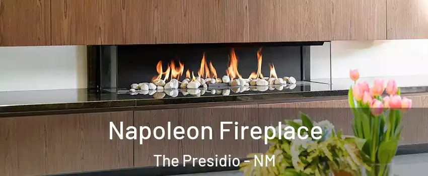 Napoleon Fireplace The Presidio - NM