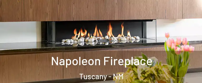 Napoleon Fireplace Tuscany - NM