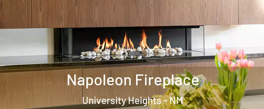 Napoleon Fireplace University Heights - NM