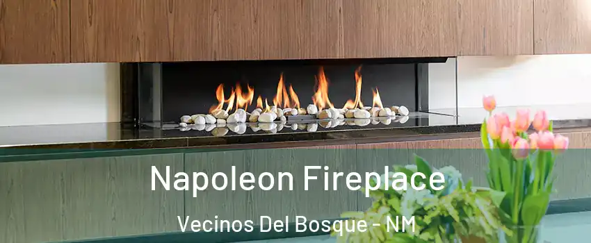 Napoleon Fireplace Vecinos Del Bosque - NM