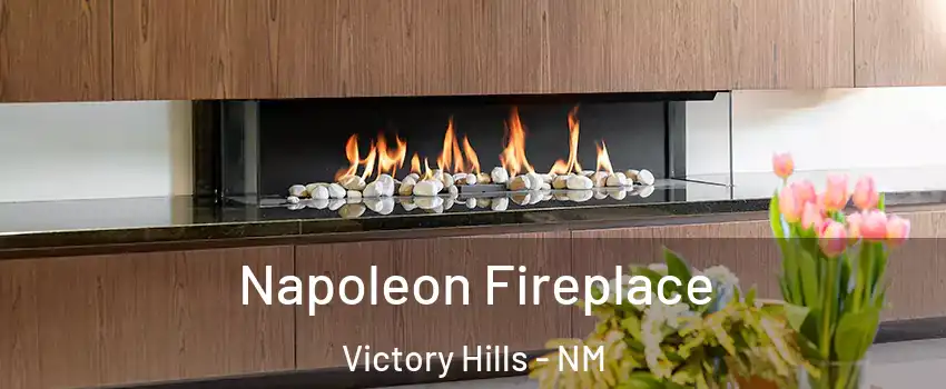 Napoleon Fireplace Victory Hills - NM