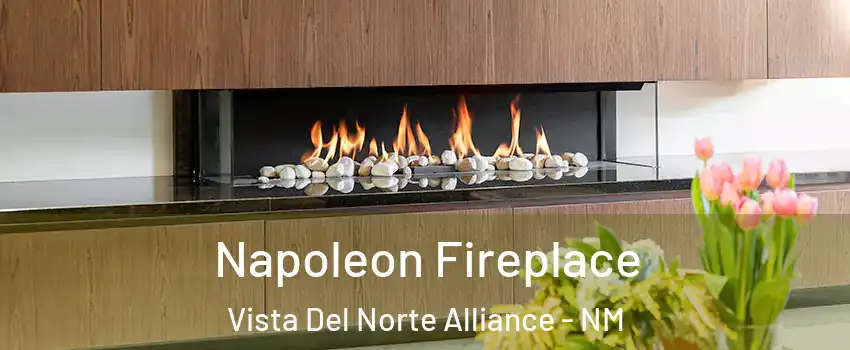 Napoleon Fireplace Vista Del Norte Alliance - NM