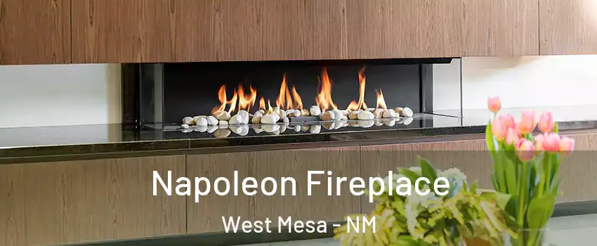 Napoleon Fireplace West Mesa - NM