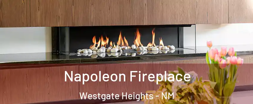Napoleon Fireplace Westgate Heights - NM