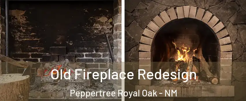 Old Fireplace Redesign Peppertree Royal Oak - NM