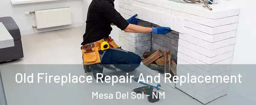 Old Fireplace Repair And Replacement Mesa Del Sol - NM
