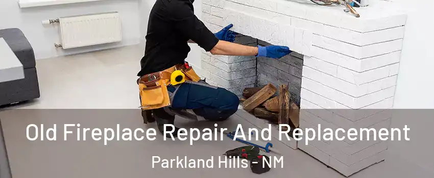 Old Fireplace Repair And Replacement Parkland Hills - NM