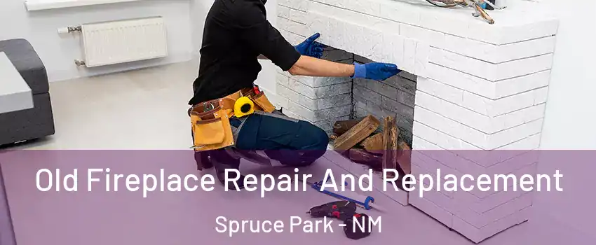 Old Fireplace Repair And Replacement Spruce Park - NM