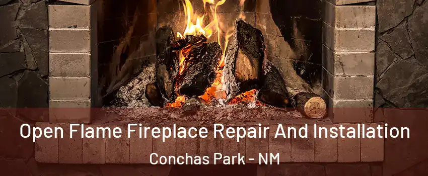 Open Flame Fireplace Repair And Installation Conchas Park - NM