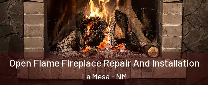 Open Flame Fireplace Repair And Installation La Mesa - NM