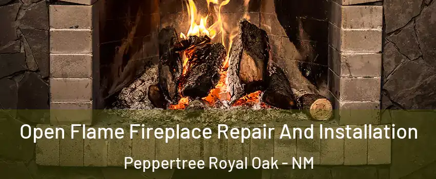 Open Flame Fireplace Repair And Installation Peppertree Royal Oak - NM