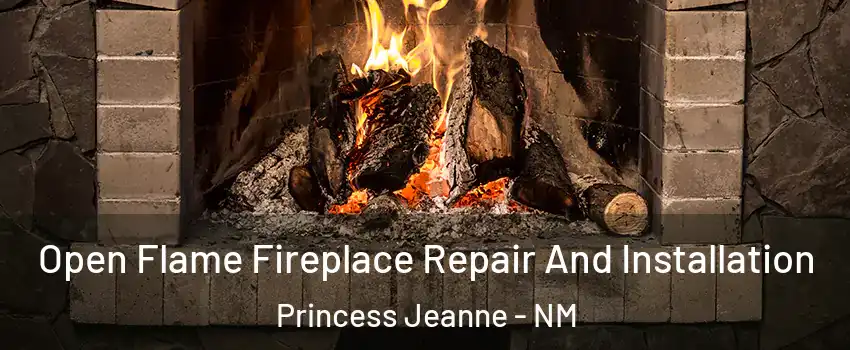 Open Flame Fireplace Repair And Installation Princess Jeanne - NM