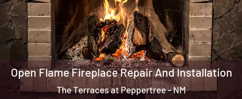 Open Flame Fireplace Repair And Installation The Terraces at Peppertree - NM