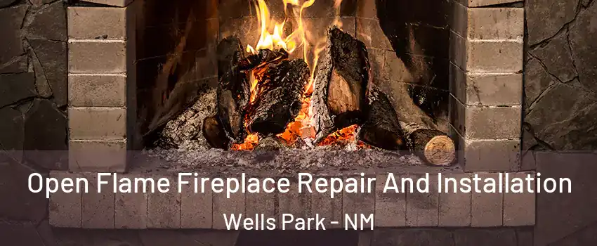 Open Flame Fireplace Repair And Installation Wells Park - NM